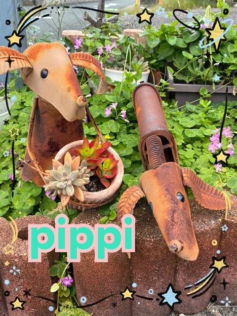 PiPPi